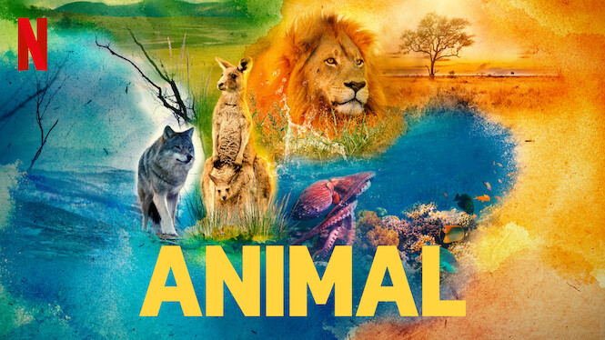Animal (2022) on Netflix USA :: New On Netflix USA - Times News Network